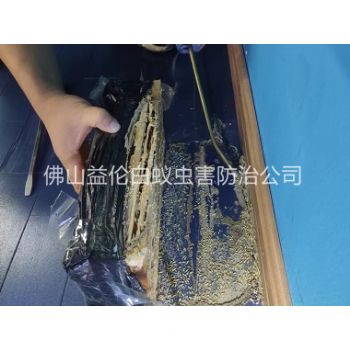 四会体育馆灭治白蚁工程