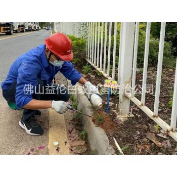 封开红火蚁防治工程
