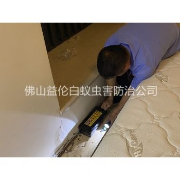 四会家居白蚁灭治工程