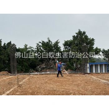 怀集地基新建预防白蚁工程