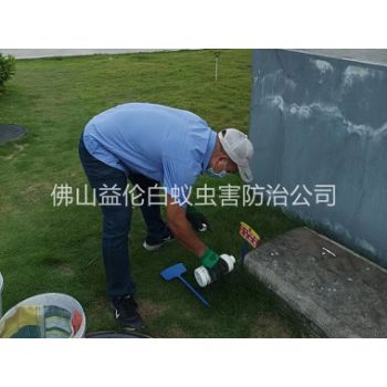 端州灭除红火蚁工程