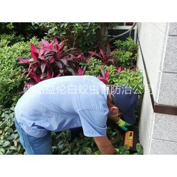 端州住宅环境灭鼠工程